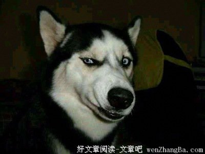 【图】半夜两点，男友连甩我四张表情包，看完瞬间气炸....