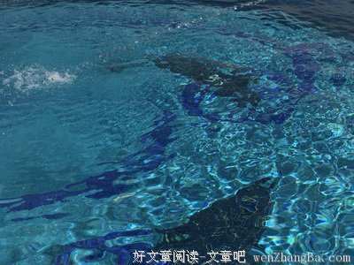 原创| 终究是无悔