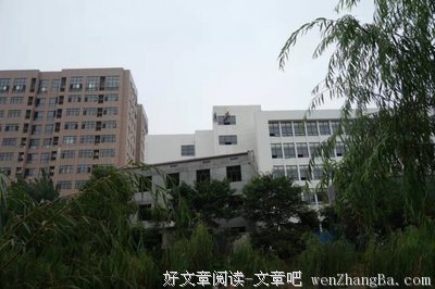 桂花如期开，已忘你要来