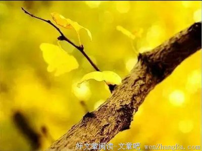 做人，最硬的底牌是什么？