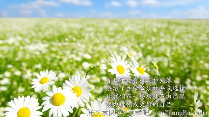 最经典的《被窝是青春的坟墓》名句欣赏