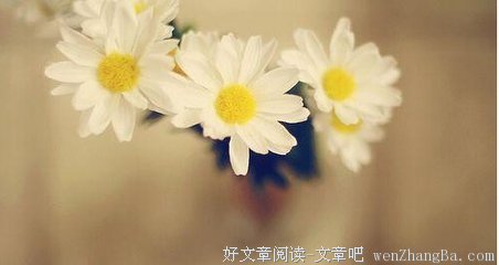 有关宁折不弯的美句摘抄