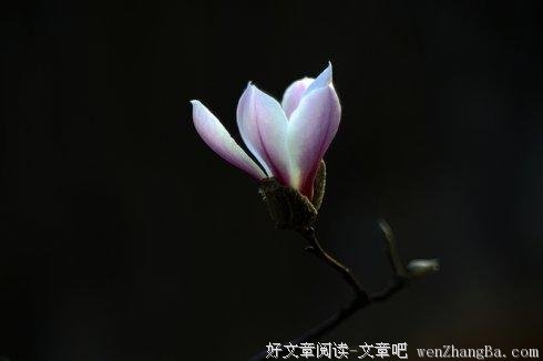从生到死有多远？（深度好文）