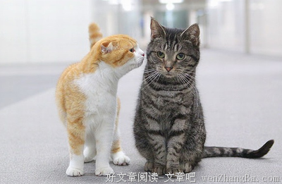 最完美的离婚是你嫁了小鲜肉，我成了千万富翁