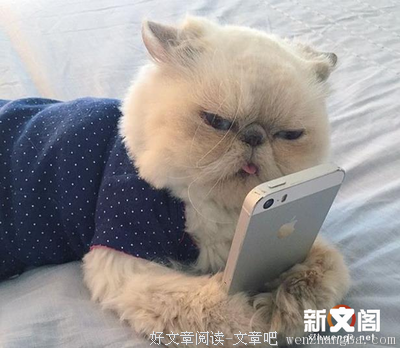 这么多年我电话没换过，可有些人再也不会打来了