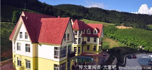 小窗低语丨童话，留在光影里的温暖