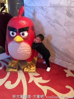 吴京老婆拒生二胎，背后原因让人深思