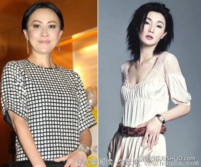 张曼玉的名句_关于张曼玉的名句