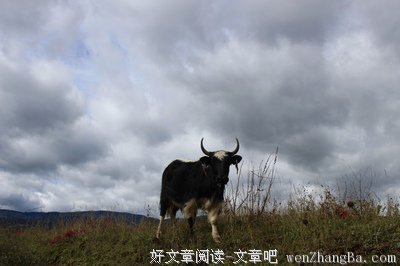怎样才能不迷茫？