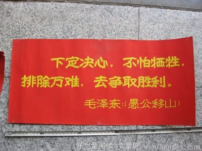 最全的盛世爱精彩语录
