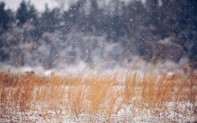 关于一望无垠的语句