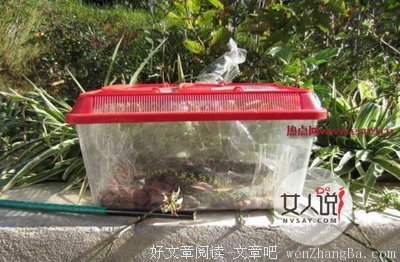 毛骨悚的语句摘抄_关于毛骨悚的语句