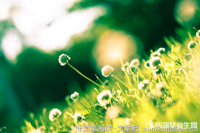 最新的《生死忧患》语录摘抄