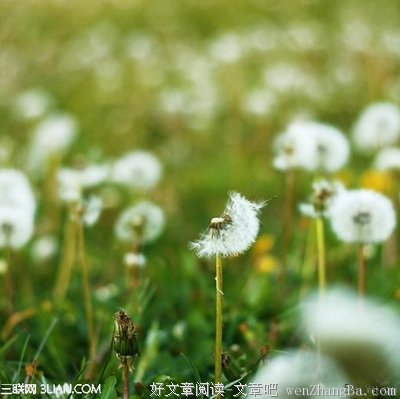最经典的《意林》经典语句