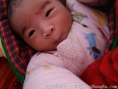 最全的《执子之手，将子拖走》经典的句子大全
