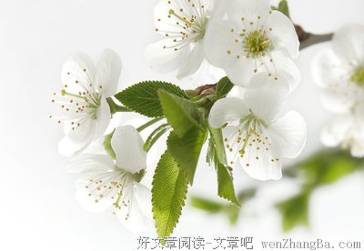 用这个泡脚15分钟，体寒、失眠、风湿都好多了