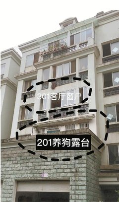 你愿意花多少钱养小狼狗？