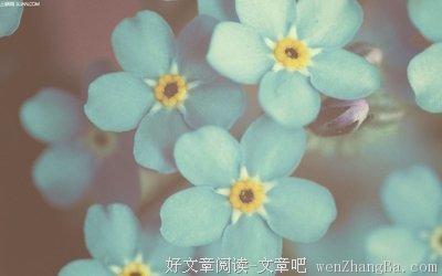 心无她念，唯你是一，瑾哥