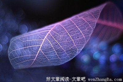 最经典的姚谦经典语录