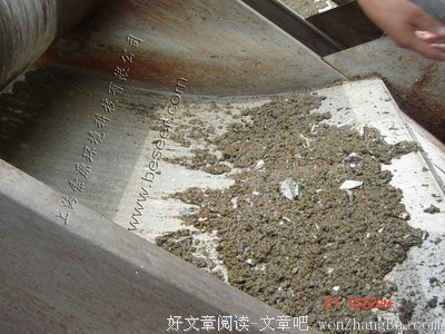 最经典的秦观经典名句
