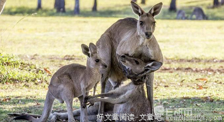 关于生离死别的名句摘抄
