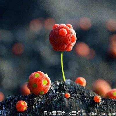 最经典的廖一梅的名言名句