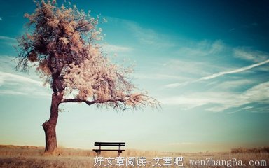 关于天知道的唯美语录