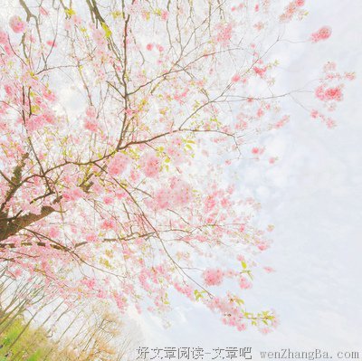 张椅子的句子