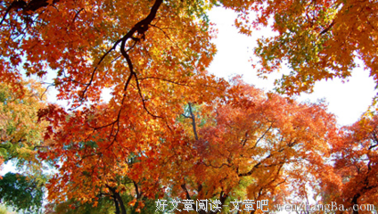 描写绚烂的经典句子