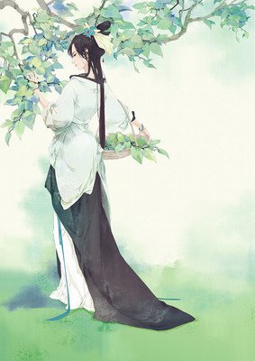 关于罗敷的唯美语录