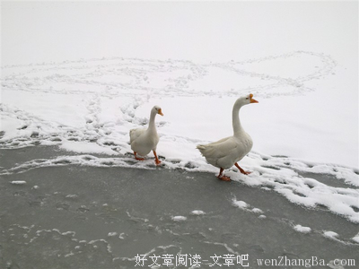 前任的微信，究竟该不该删？