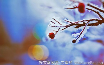 霜花入庭，柿灯出树——今日霜降