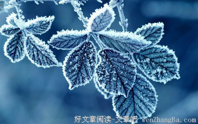 朗诵：霜降——初心不忘 梦想绽放