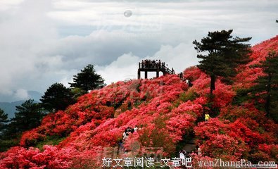 壁纸丨天寒落地霜，秋止人间凉
