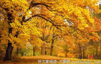 霜降 | 时逢秋暮露成霜，几份凝结几份阳