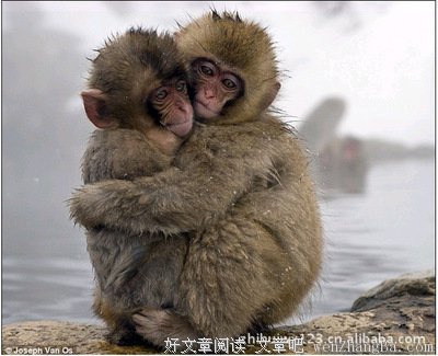 高行健的名句_关于高行健的名句