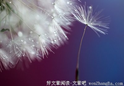 描写修德的经典句子