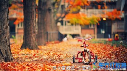 日积月累格言警句