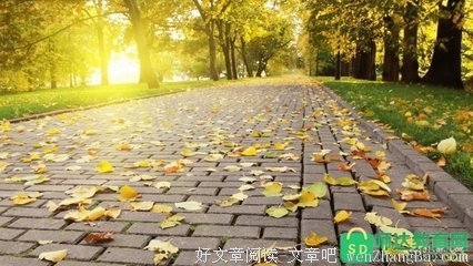 关于相辅相成的语句