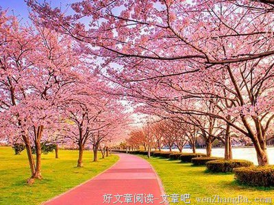 关于强壮的唯美语录