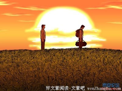 15条关于小荷的经典语句