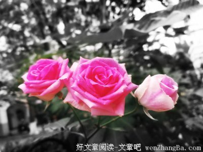 慢 一 点 的 喜 欢 。