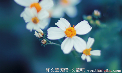 描写马马虎虎的语句摘抄