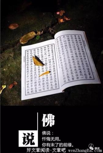 这就是人性！