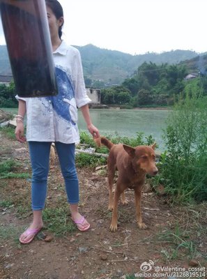 有一种生气，叫男朋友不知道你气什么