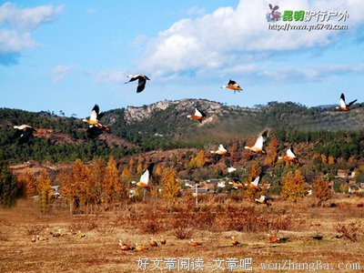 难道艳遇就一定要在苍山洱海？