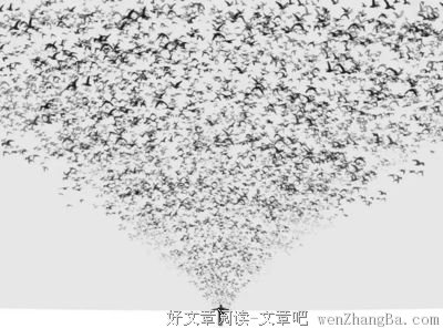 每天都做梦，你知道咋做三王星主题的梦吗？