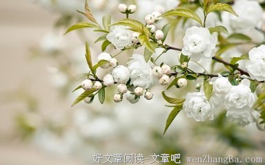 自大的语句摘抄_关于自大的语句