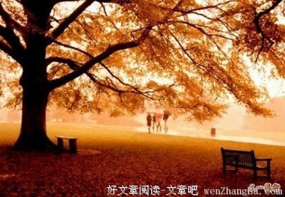 我们都是刺猬，却可以背对背拥抱。