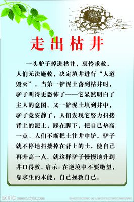 藤条的名言_关于藤条的名言